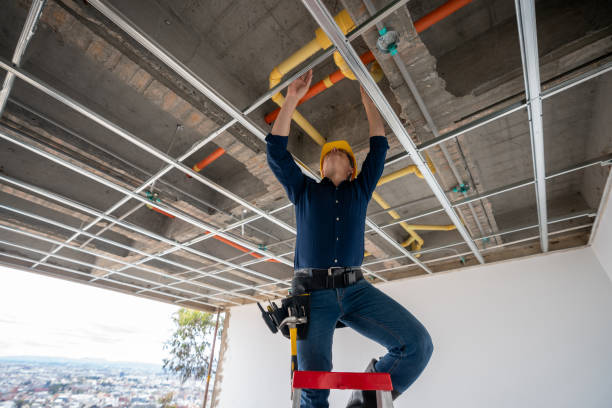 Best Toilet Repair Services  in Blossom, TX